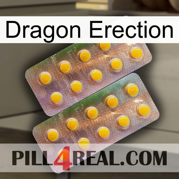 Dragon Erection new10.jpg